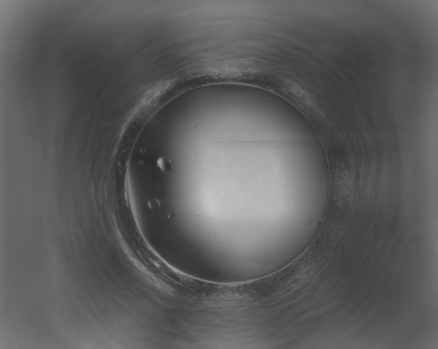 X0000051870734200506241346