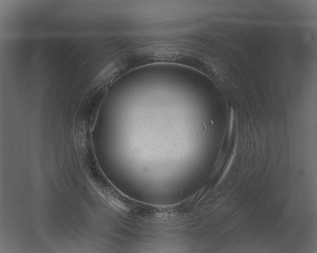 X0000051870744200506241347