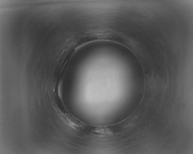 X0000051870752200506241347