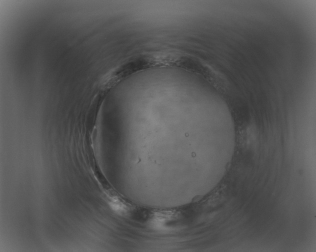 X0000051870757200506241347