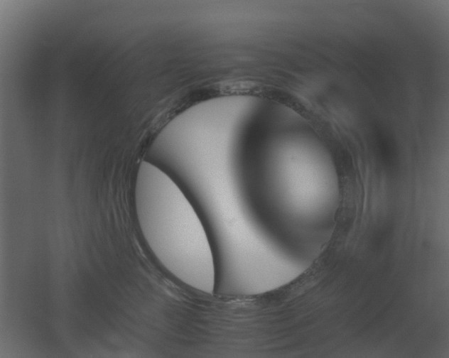 X0000051870761200506241347