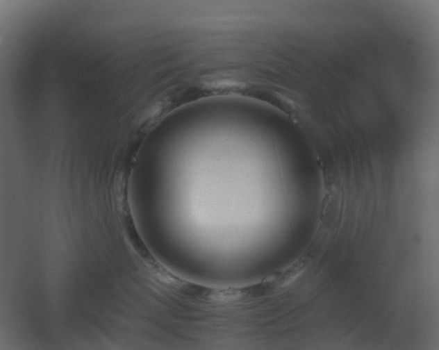 X0000051870767200506241347