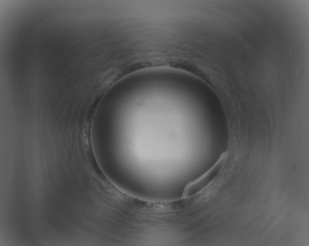 X0000051870768200506241347
