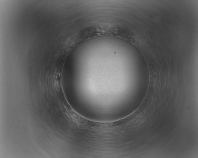 X0000051870770200506241346