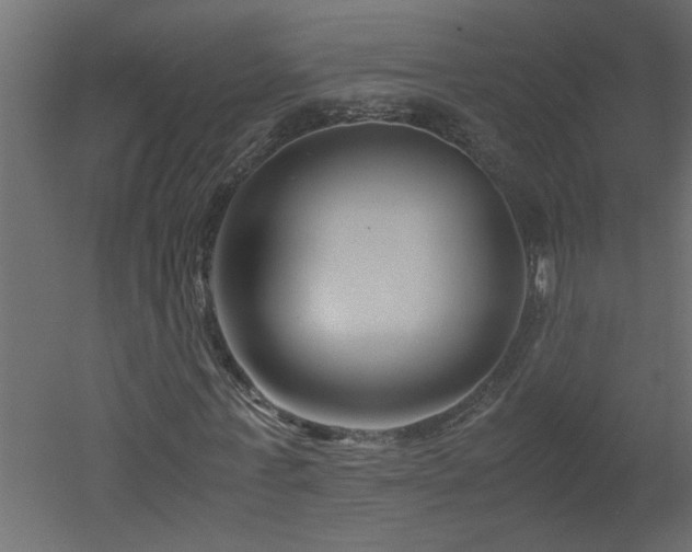 X0000051870771200506241346