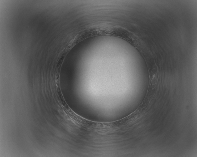X0000051870772200506241346