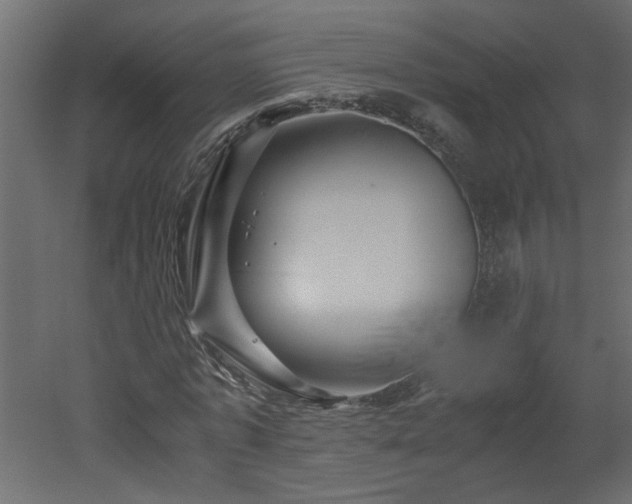 X0000051870773200506241346