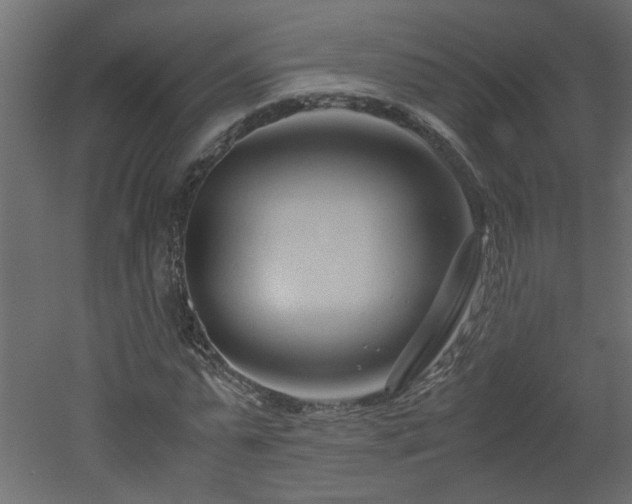 X0000051870775200506241346