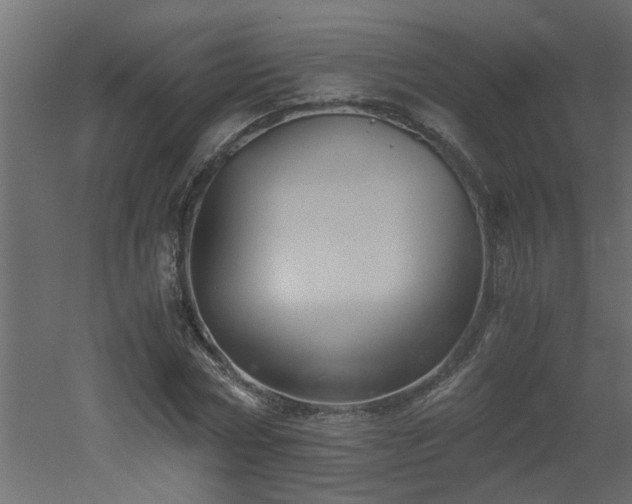 X0000051870778200506241346