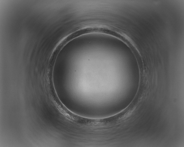 X0000051870783200506241346