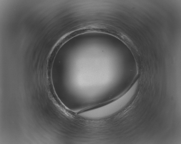 X0000051870784200506241346