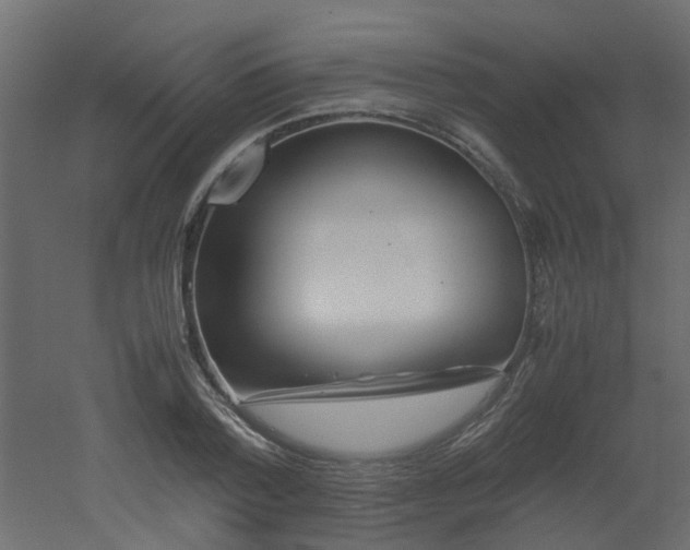 X0000051870788200506241346