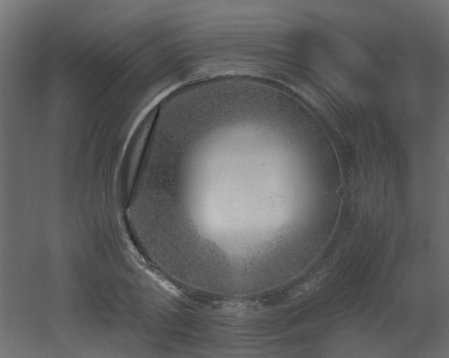 X0000051870790200506241346