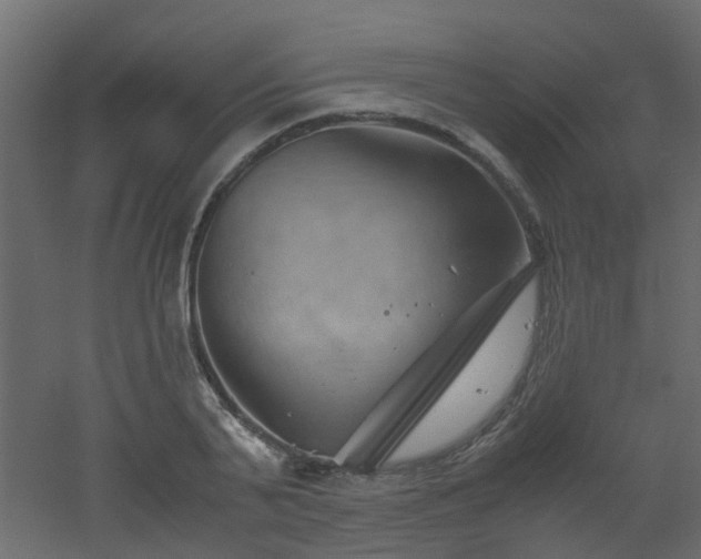 X0000051870791200506241346