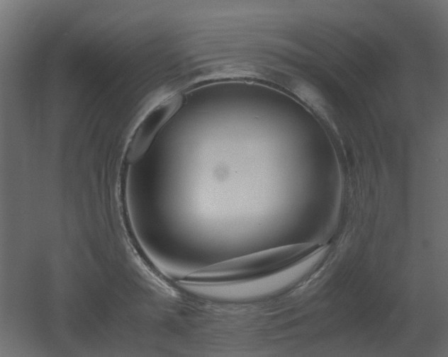 X0000051870797200506241346
