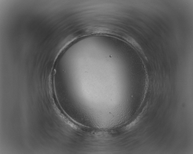 X0000051870798200506241346