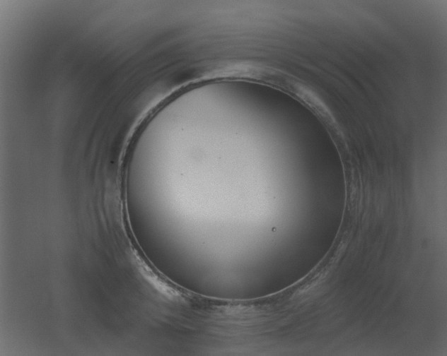 X0000051870800200506241346