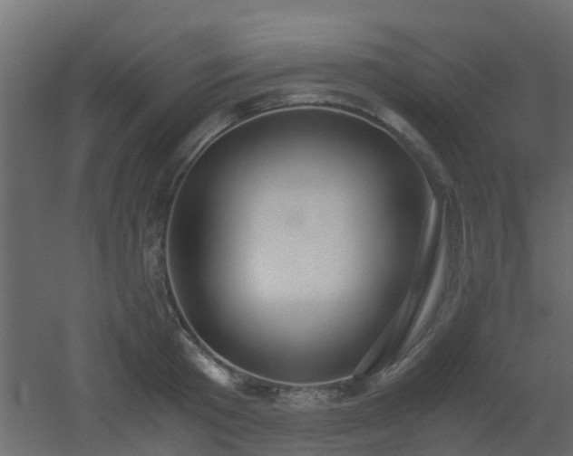 X0000051870801200506241346