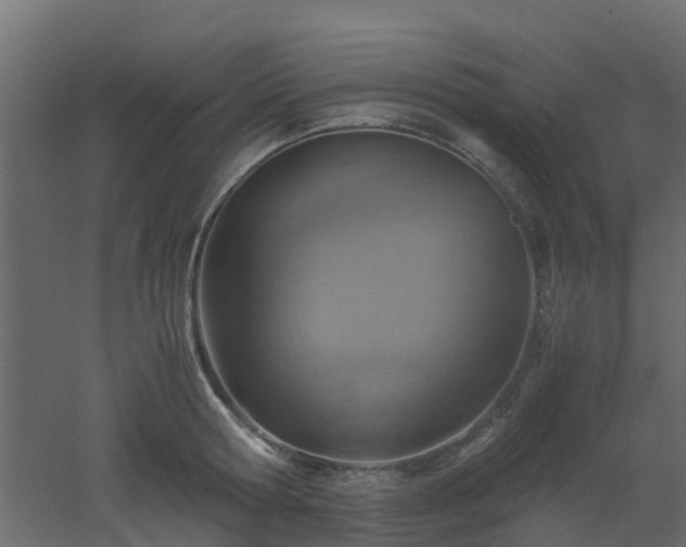 X0000051870802200506241346