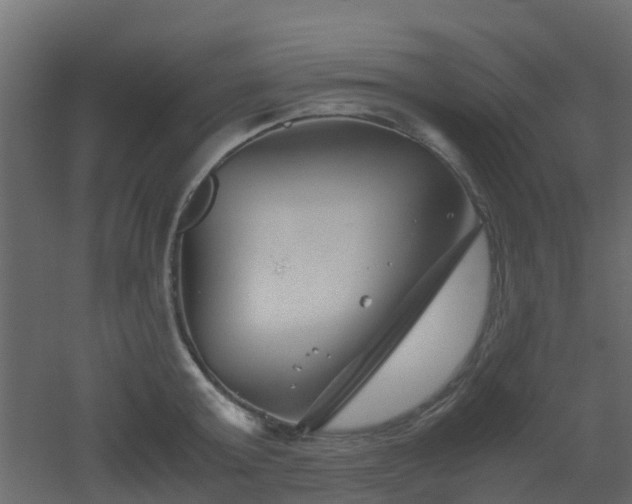 X0000051870803200506241346