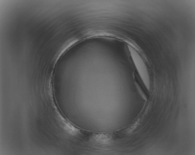 X0000051870806200506241346