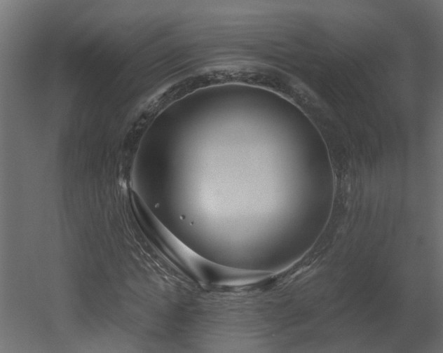 X0000051870822200506241345