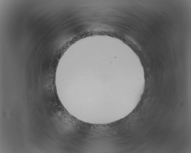 X0000051870824200506241345