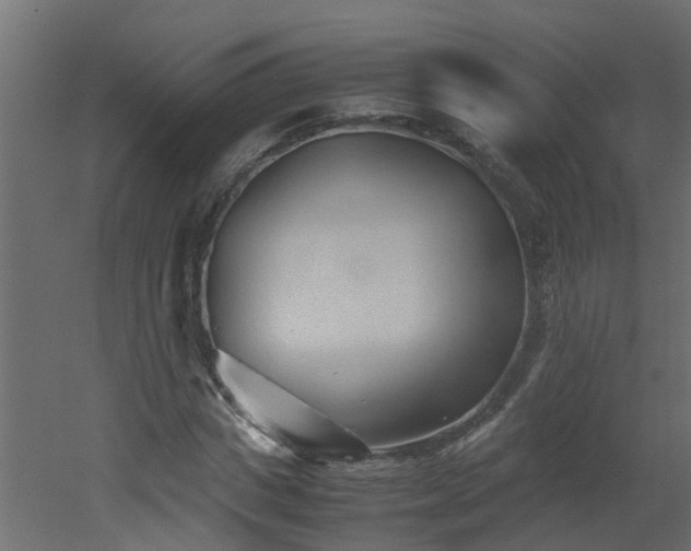 X0000051870825200506241345