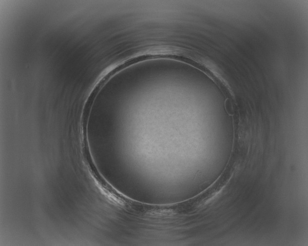X0000051870837200506241345