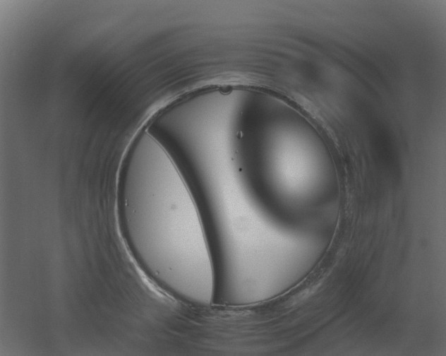 X0000051870845200506241345