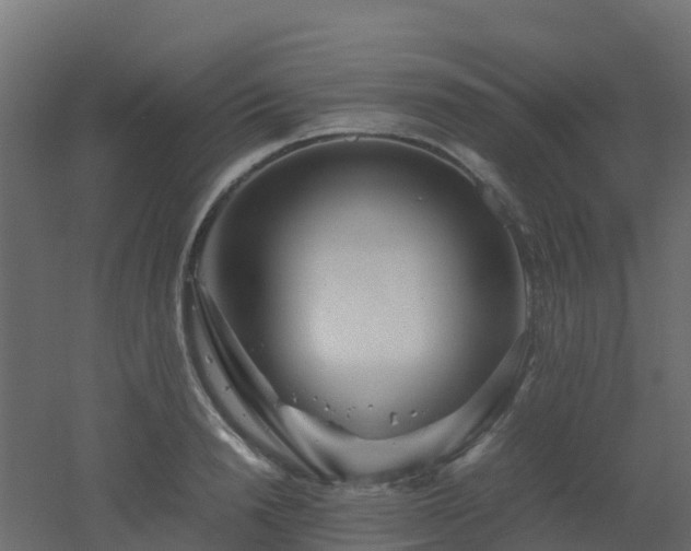 X0000051870846200506241345