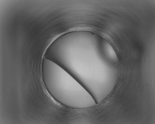 X0000051870852200506241345