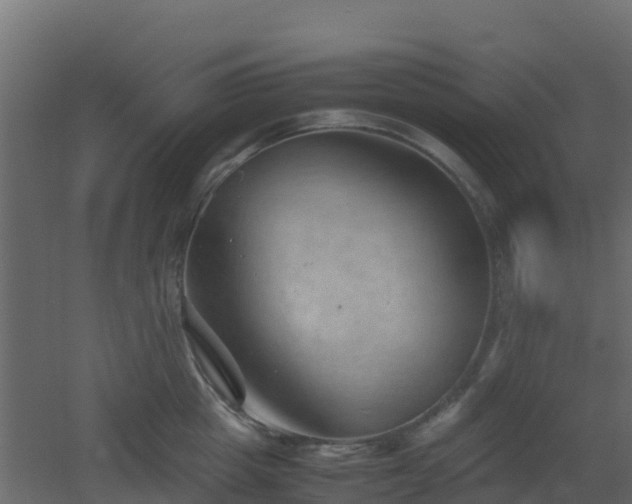 X0000051870857200506241345