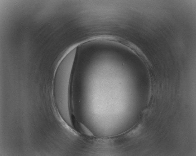 X0000051870860200506241345