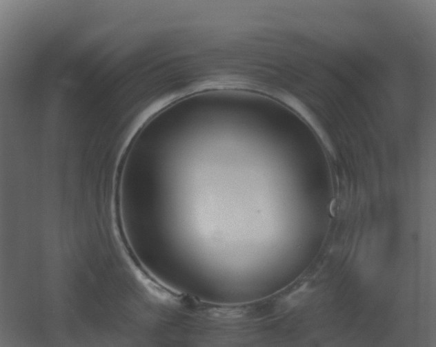 X0000051870861200506241345
