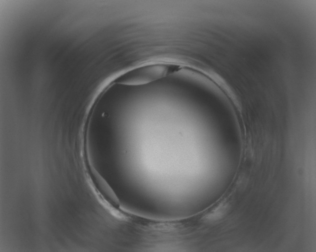 X0000051870862200506241345