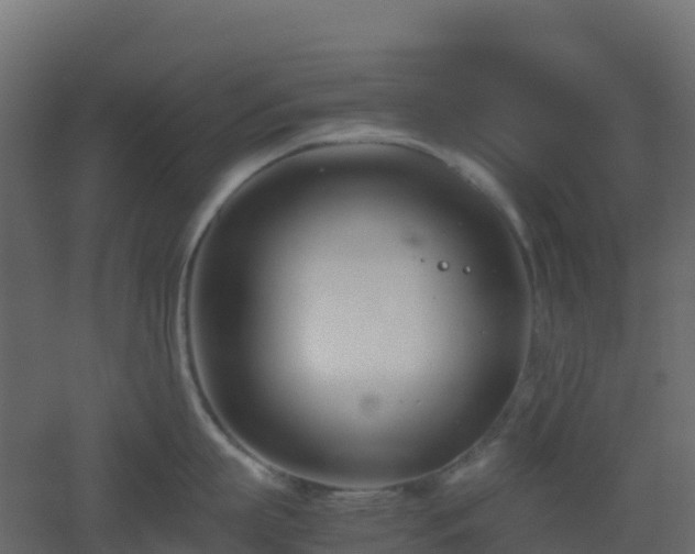 X0000051870863200506241345