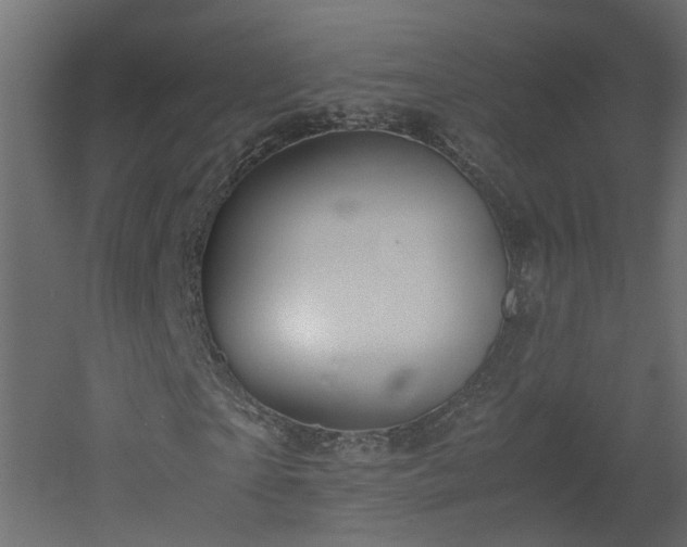 X0000051870865200506241345