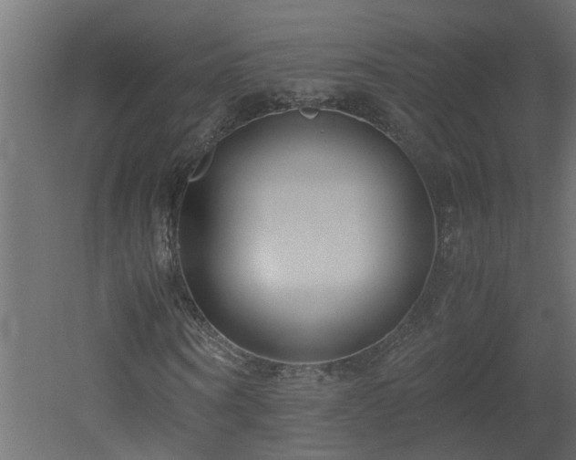X0000051870866200506241345
