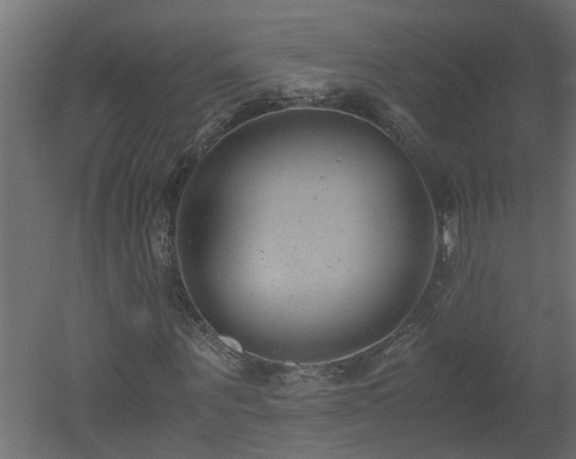 X0000051870867200506241345