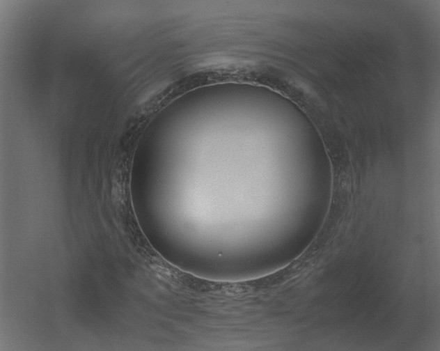 X0000051870869200506241345