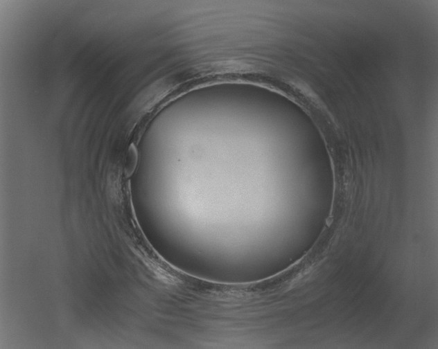 X0000051870873200506241344