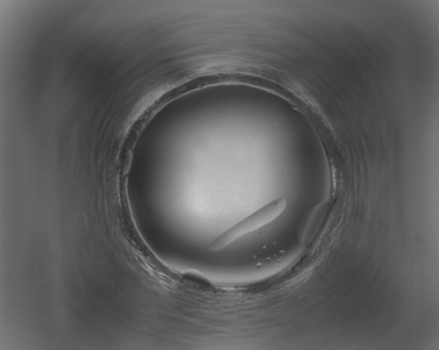 X0000051870877200506241344