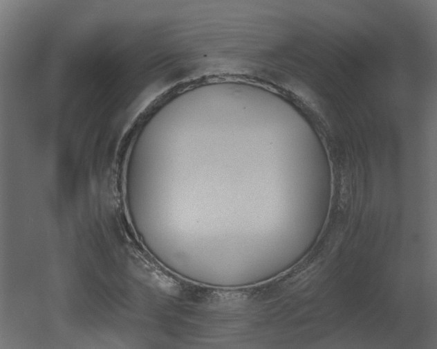 X0000051870878200506241344