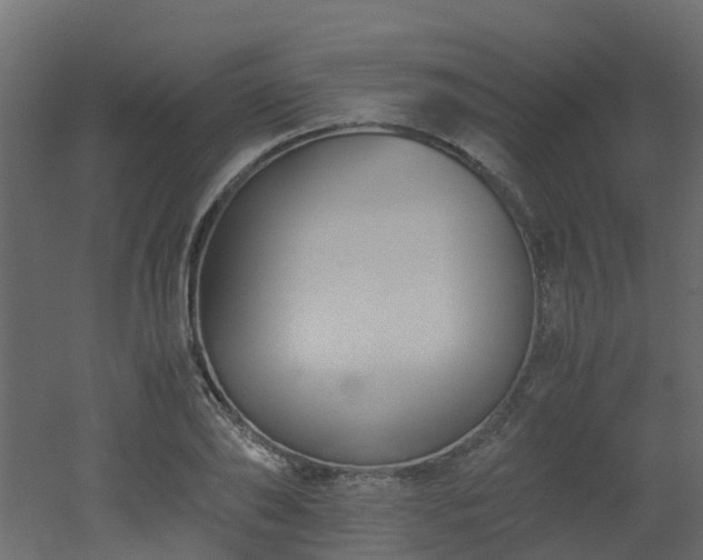 X0000051870886200506241344