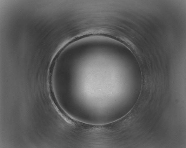 X0000051870894200506241344