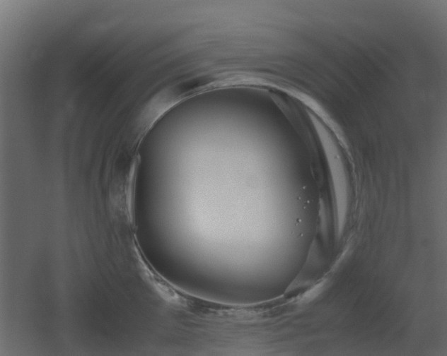 X0000051870905200506241344