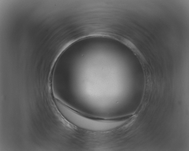 X0000051870908200506241344