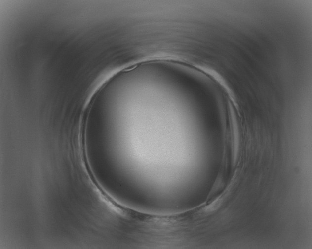 X0000051870910200506241344