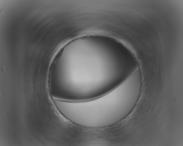 X0000051870912200506241344